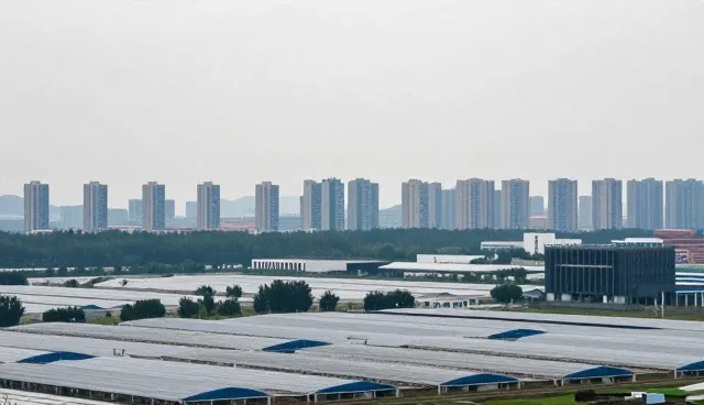 企业策划中项目决策的关键点及处理方向